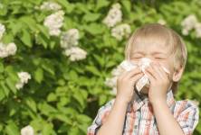 Jaro je nejhorší období pro alergie